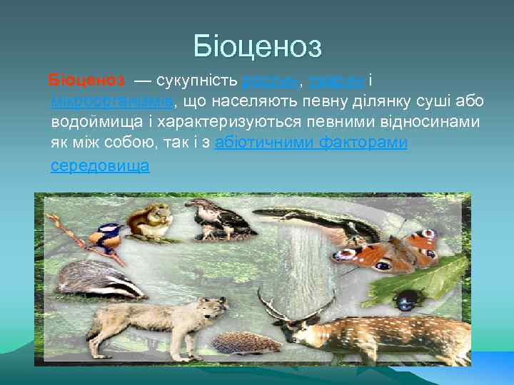 Біоценоз — сукупність рослин, тварин і мікроорганізмів, що населяють певну ділянку суші або водоймища