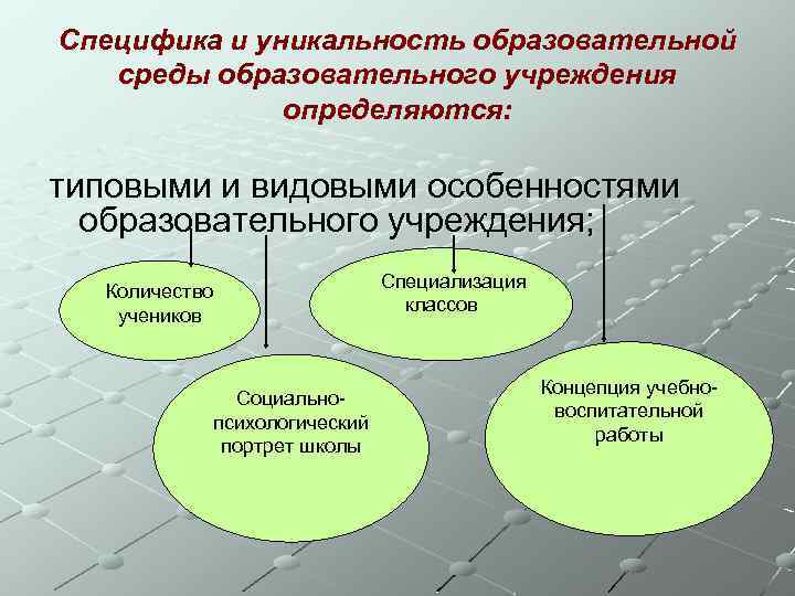 Специфика и уникальность образовательной среды образовательного учреждения определяются: типовыми и видовыми особенностями образовательного учреждения;