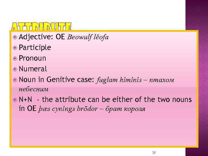 ATTRIBUTE Adjective: OE Beowulf lēofa Participle Pronoun Numeral Noun in Genitive case: fuglam himinis