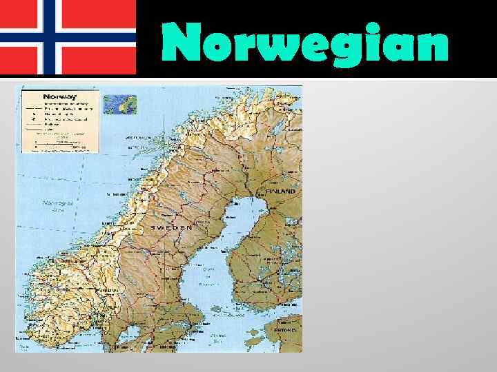 North Germanic Languages a historic outline Lecture 5