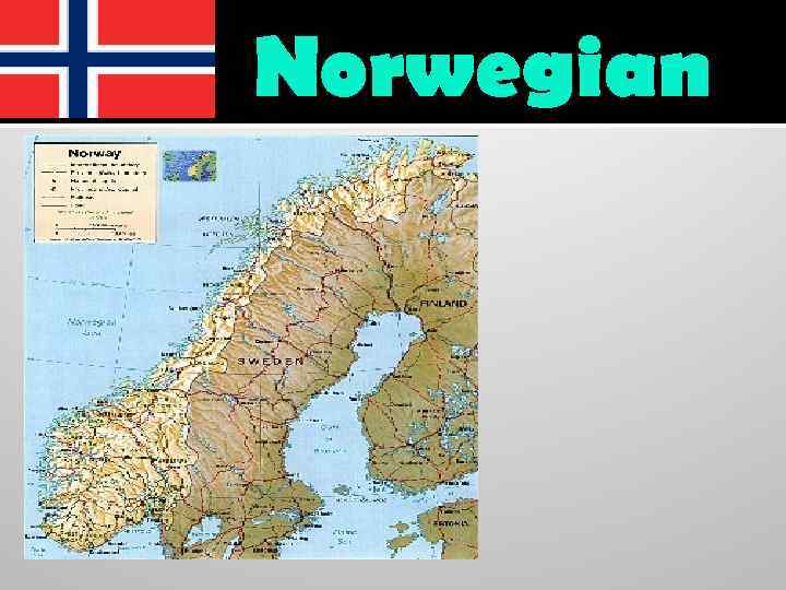 Norwegian 