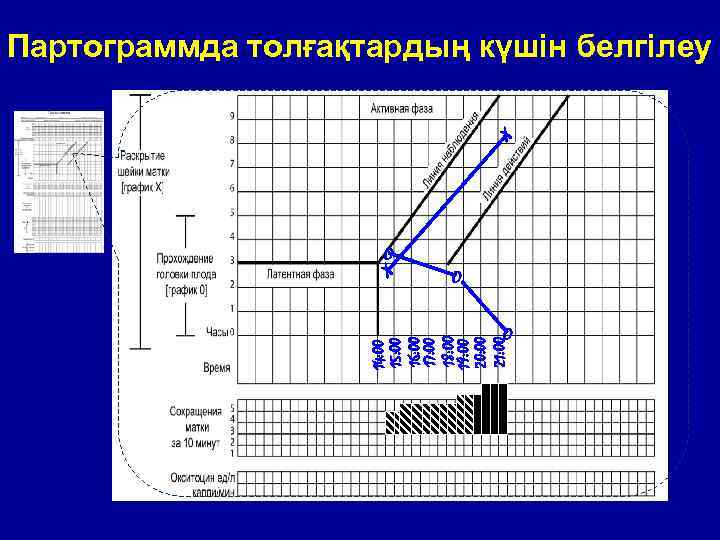 Партограммда толғақтардың күшін белгілеу X O O 14: 00 15: 00 16: 00 17: