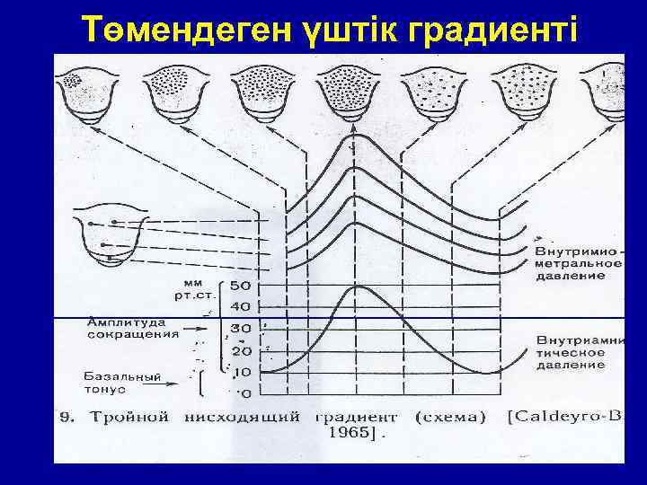 Төмендеген үштік градиенті 