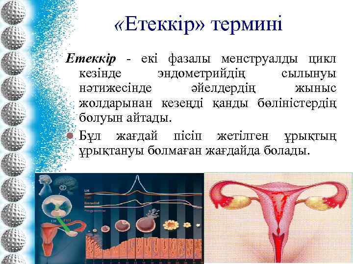  «Етеккір» термині Етеккір - екі фазалы менструалды цикл кезінде эндометрийдің сылынуы нәтижесінде әйелдердің