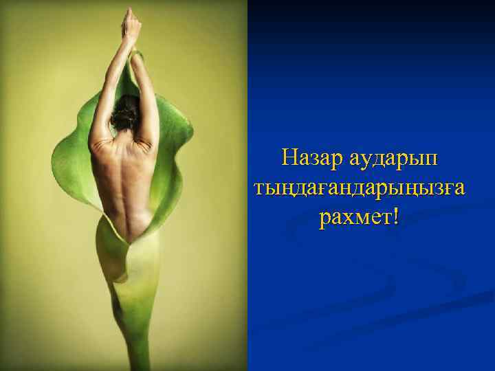 Назар аударып тыңдағандарыңызға рахмет! 