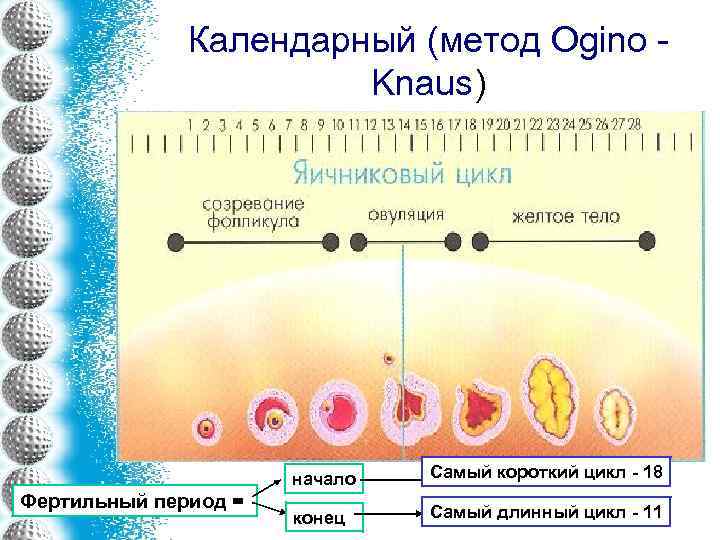 Календарный (метод Ogino - Knaus) начало Фертильный период = Самый короткий цикл - 18