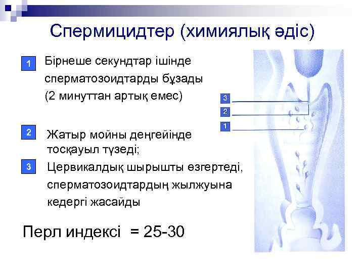 Спермицидтер (химиялық әдіс) 1 2 3 Бірнеше секундтар ішінде сперматозоидтарды бұзады (2 минуттан артық