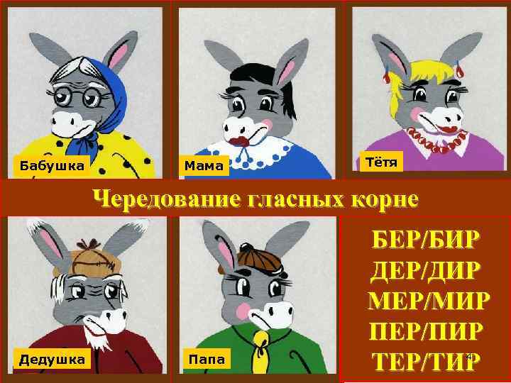 Бабушка Мама Тётя Чередование гласных корне Дедушка Папа БЕР/БИР ДЕР/ДИР МЕР/МИР ПЕР/ПИР ТЕР/ТИР 4