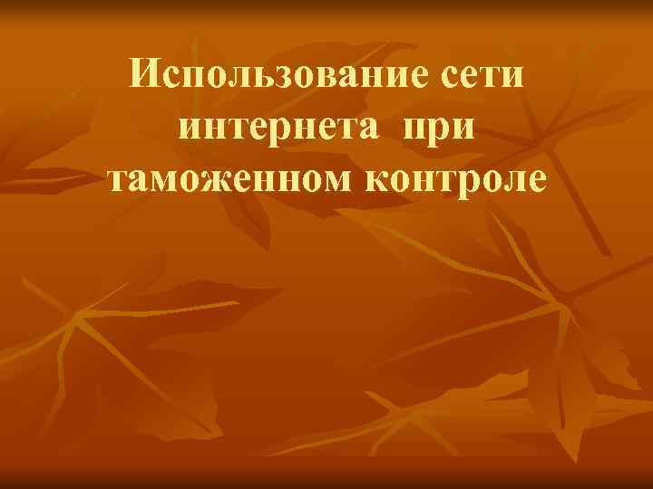 Использование сети интернета при таможенном контроле 