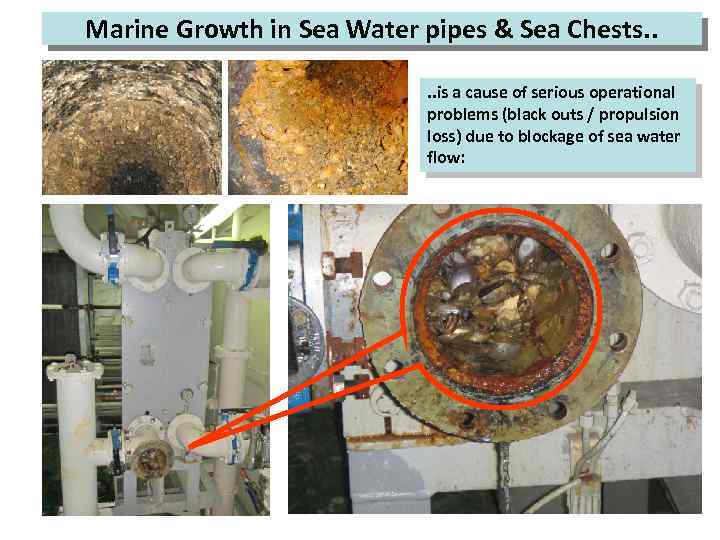 Marine Growth in Sea Water pipes & Sea Chests. . is a cause of