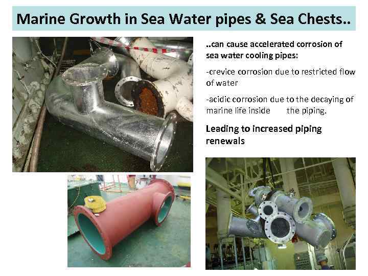 Marine Growth in Sea Water pipes & Sea Chests. . can cause accelerated corrosion