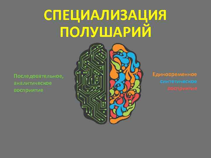 СПЕЦИАЛИЗАЦИЯ ПОЛУШАРИЙ Последовательное, аналитическое восприятие Единовременное синтетическое восприятие 
