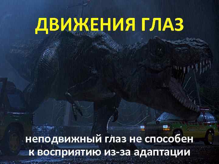 ДВИЖЕНИЯ ГЛАЗ неподвижный глаз не способен к восприятию из-за адаптации 