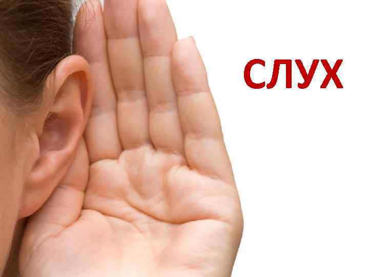 СЛУХ 