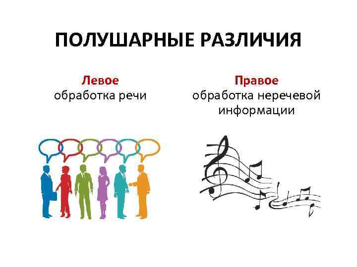 ПОЛУШАРНЫЕ РАЗЛИЧИЯ Левое обработка речи Правое обработка неречевой информации 