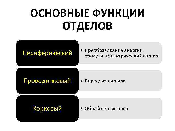 ОСНОВНЫЕ ФУНКЦИИ ОТДЕЛОВ Периферический • Преобразование энергии стимула в электрический сигнал Проводниковый • Передача
