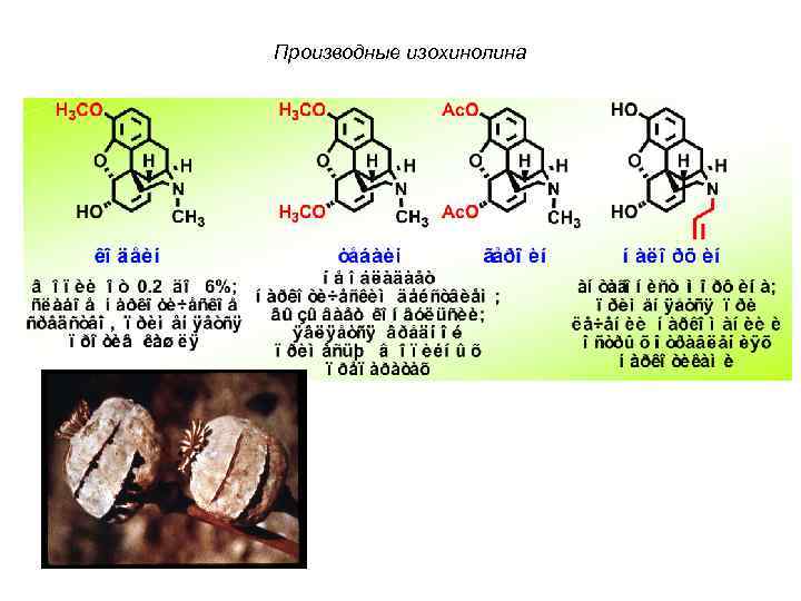 Производные изохинолина 
