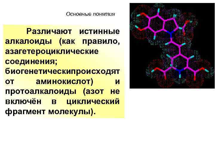 Основные понятия Различают истинные алкалоиды (как правило, азагетероциклические соединения; биогенетически роисходят п от аминокислот)