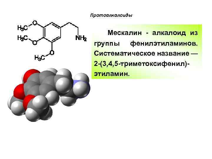 Протоалкалоиды Мескалин - алкалоид из группы фенилэтиламинов. Систематическое название — 2 -(3, 4, 5