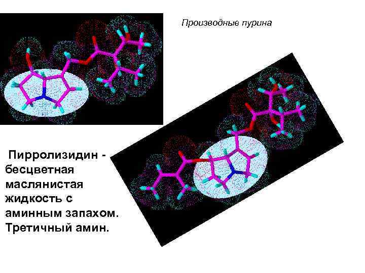 Производные пурина Пирролизидин - бесцветная маслянистая жидкость с аминным запахом. Третичный амин. 