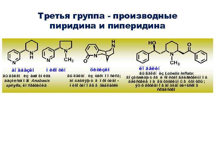 Производные группы. Алкалоиды группы пиридина и пиперидина. Алкалоиды пиперидина. Алкалоиды производные пиридина и пиперидина. Пиридин и пиперидин.