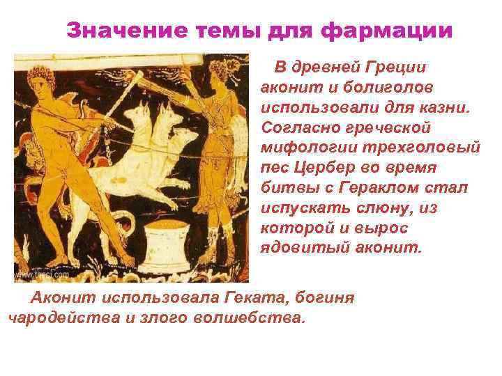 Значение темы для фармации В древней Греции аконит и болиголов использовали для казни. Согласно