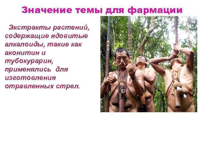 Значение темы для фармации Экстракты растений, содержащие ядовитые алкалоиды, такие как аконитин и тубокурарин,