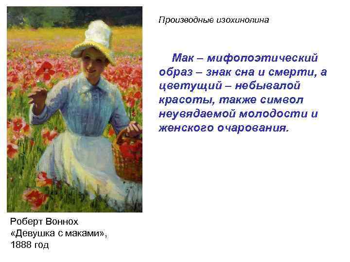 Производные изохинолина Мак – мифопоэтический образ – знак сна и смерти, а цветущий –