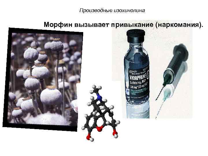 Производные изохинолина Морфин вызывает привыкание (наркомания). 