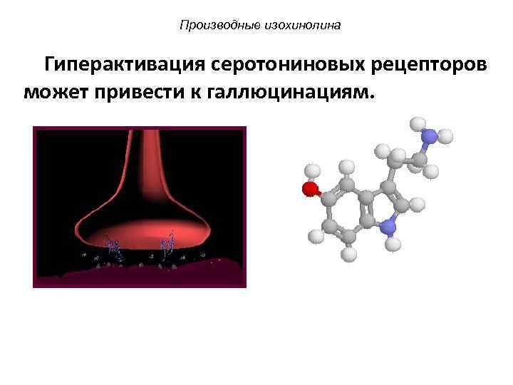 Производные изохинолина Гиперактивация серотониновых рецепторов может привести к галлюцинациям. 