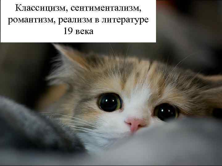 Классицизм, сентиментализм, романтизм, реализм в литературе 19 века 