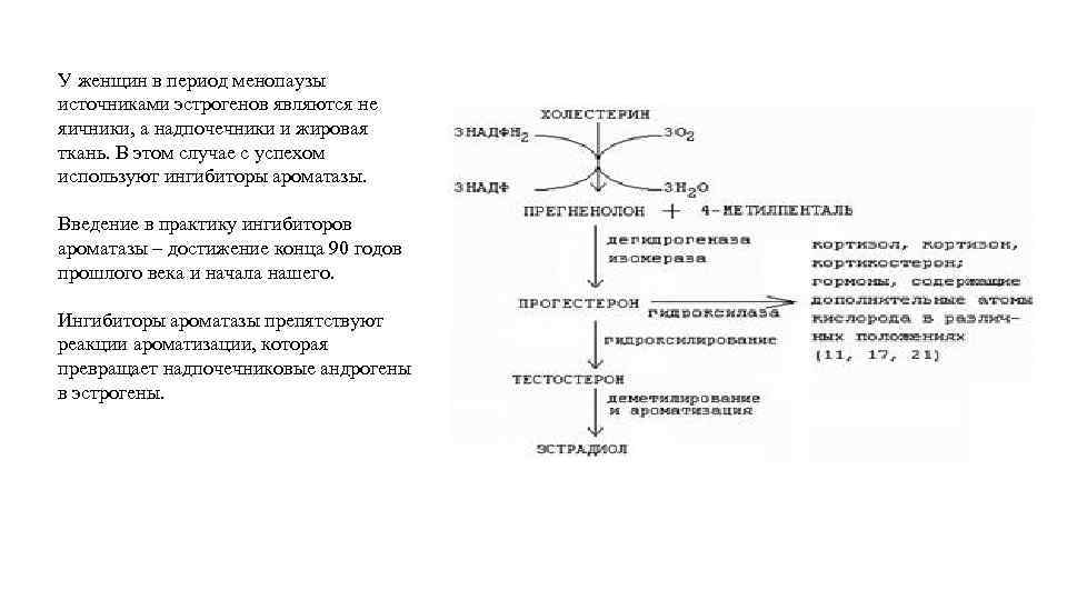 У женщин в период менопаузы источниками эстрогенов являются не яичники, а надпочечники и жировая