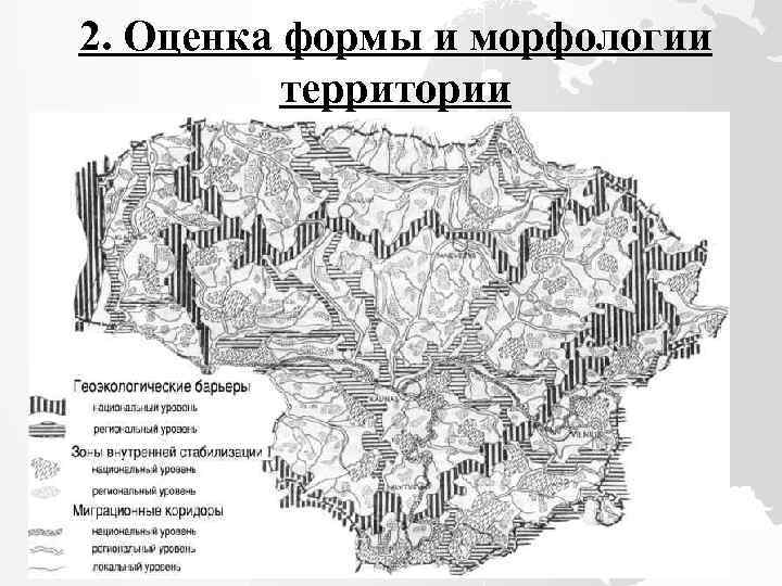 2. Оценка формы и морфологии территории мам 