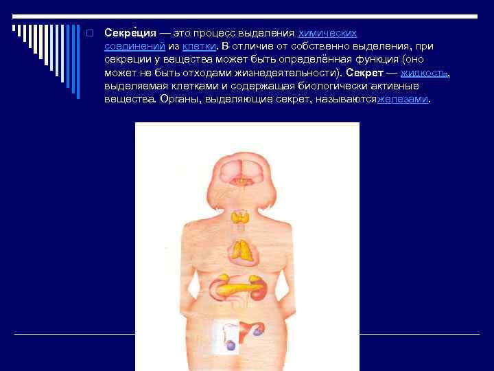 o Секре ция — это процесс выделения химических соединений из клетки. В отличие от