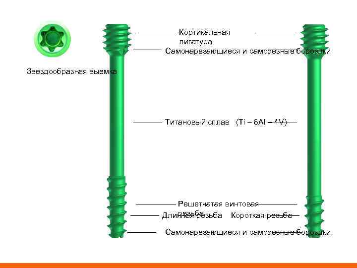 Кортикальная лигатура Самонарезающиеся и саморезные бороздки Звездообразная выемка Титановый сплав (Ti – 6 Al