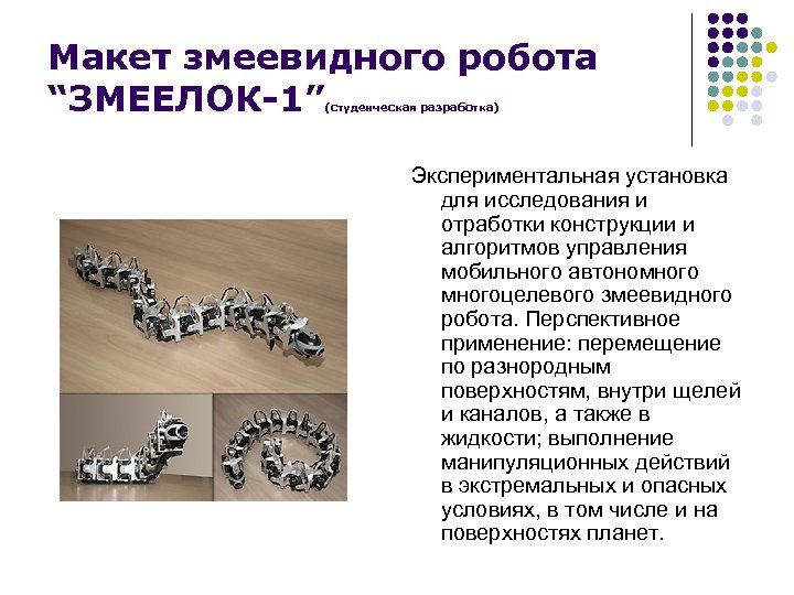 Макет змеевидного робота “ЗМЕЕЛОК-1” (студенческая разработка) Экспериментальная установка для исследования и отработки конструкции и