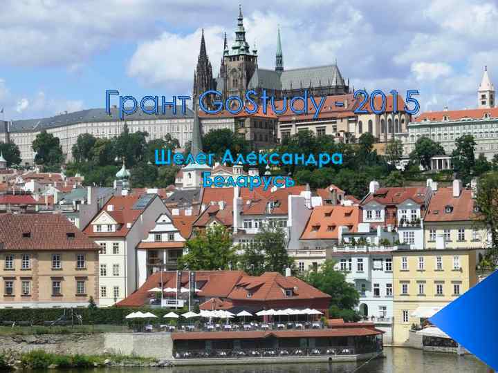 Грант Go. Study - 2015 Шелег Александра Беларусь 