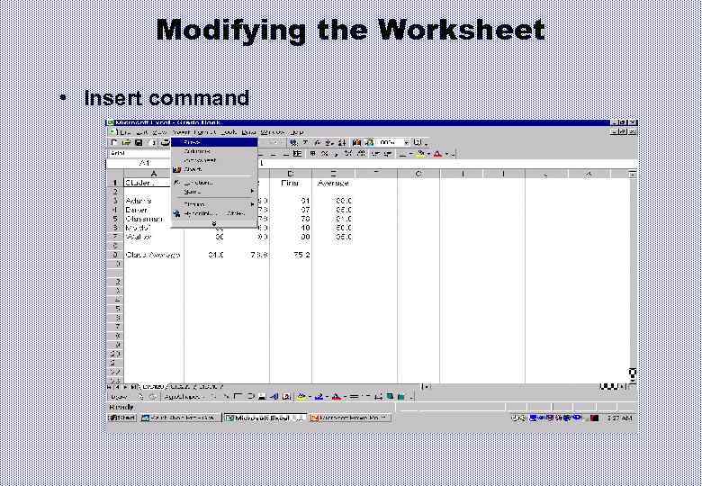 Modifying the Worksheet • Insert command 