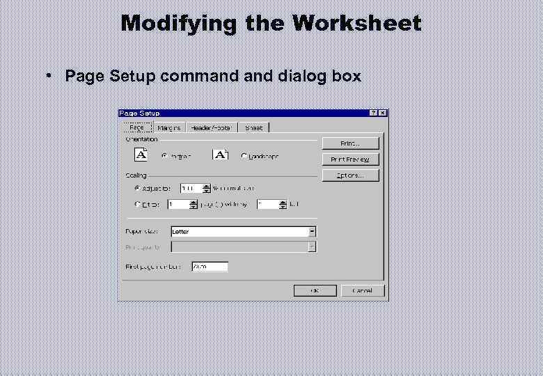 Modifying the Worksheet • Page Setup command dialog box 