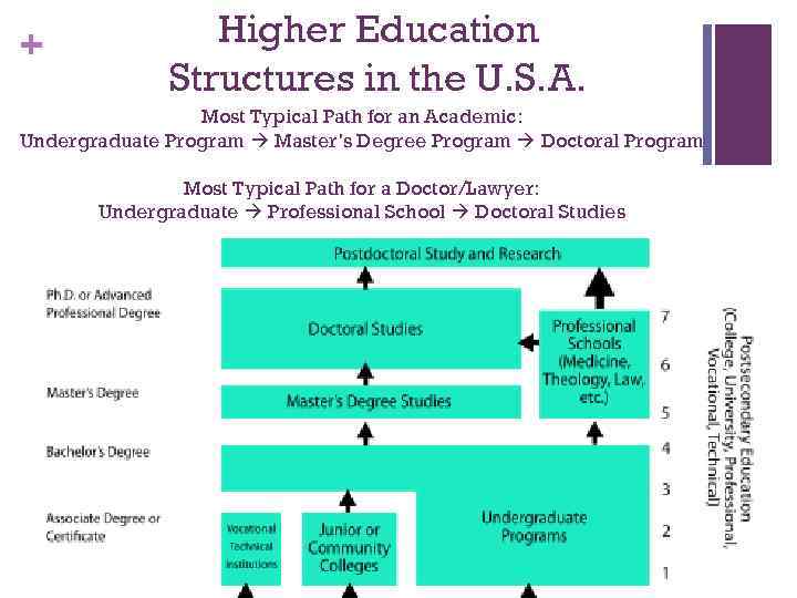 + Higher Education Structures in the U. S. A. Most Typical Path for an