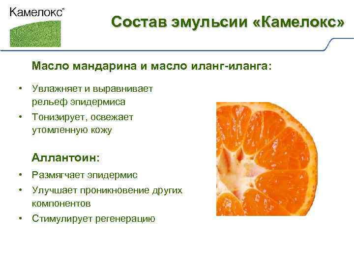 Состав эмульсии «Камелокс» Масло мандарина и масло иланг-иланга: • Увлажняет и выравнивает рельеф эпидермиса