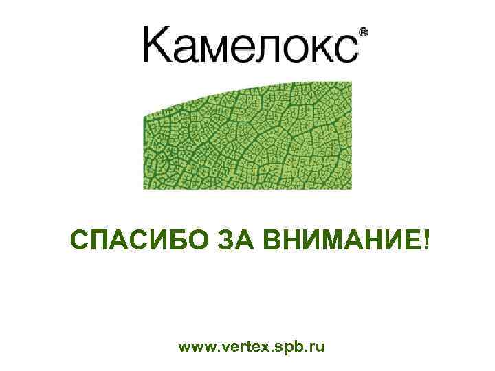 СПАСИБО ЗА ВНИМАНИЕ! www. vertex. spb. ru 