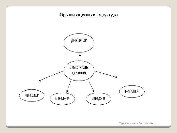 Организационная структура Турагентство «География» 