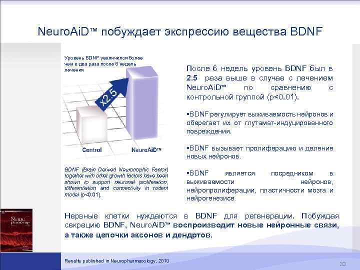 Neuro. Ai. D™ побуждает экспрессию вещества BDNF Уровень BDNF увеличился более чем в два