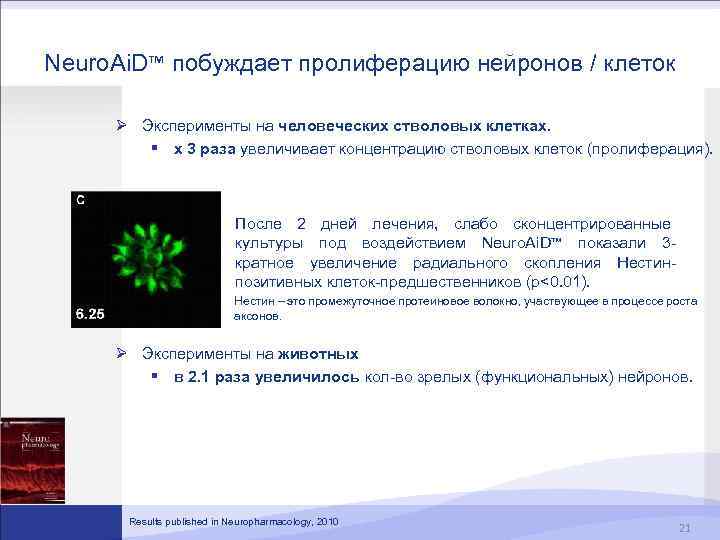 Neuro. Ai. D™ побуждает пролиферацию нейронов / клеток Ø Эксперименты на человеческих стволовых клетках.