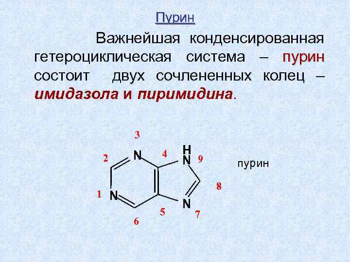 Пурины это