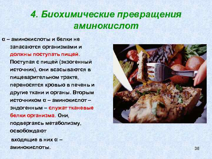 4. Биохимические превращения аминокислот α – аминокислоты и белки не запасаются организмами и должны