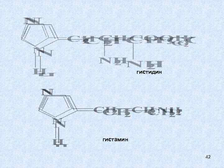 гистидин гистамин 42 