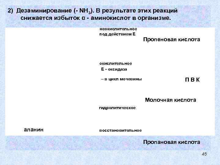 2) Дезаминирование (- NH 3). В результате этих реакций снижается избыток α - аминокислот