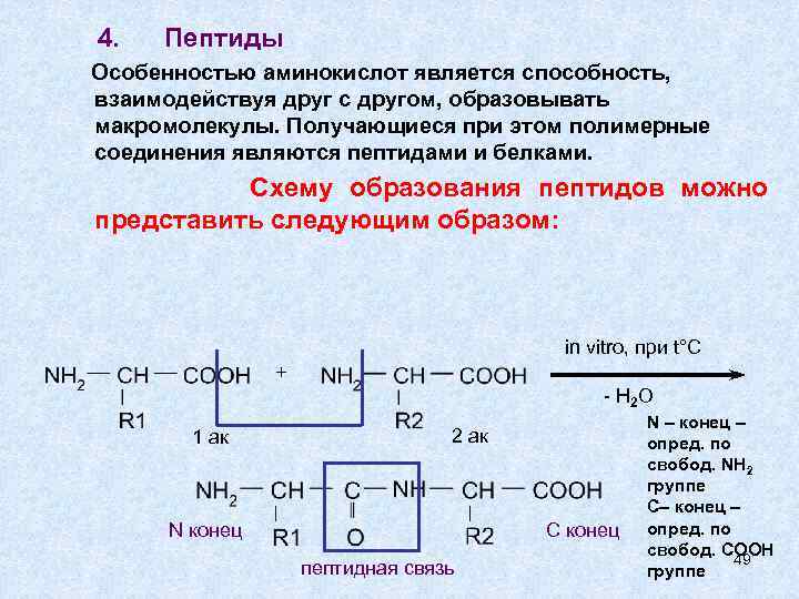 Пептид 1. Пептид из аминокислот. Полипептиды пептиды аминокислоты. Трипептид аминокислот. Синтез пептидов из аминокислот.